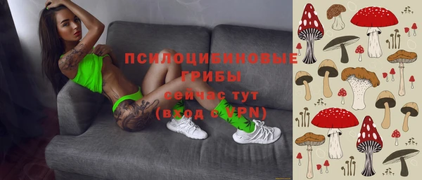 MDMA Горнозаводск