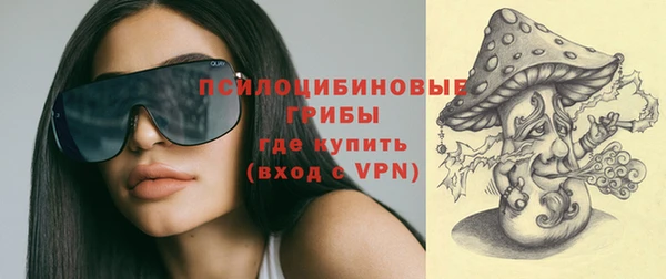 MDMA Горнозаводск