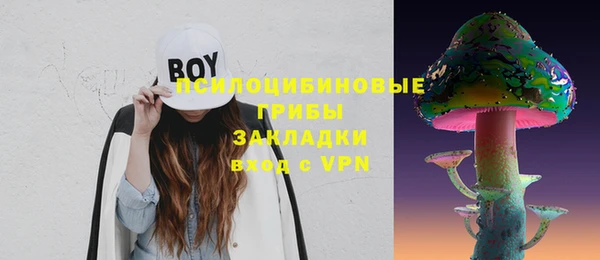 марки lsd Горняк