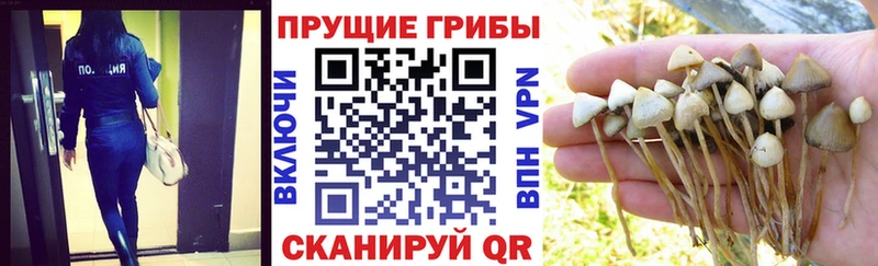 Псилоцибиновые грибы Magic Shrooms  Купить где  Арсеньев 